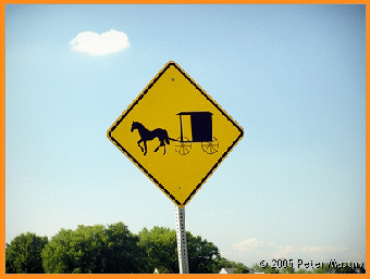 take care of carriage