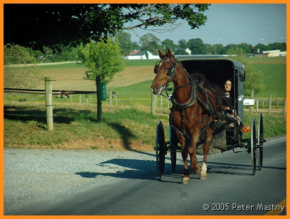 Amish carriage