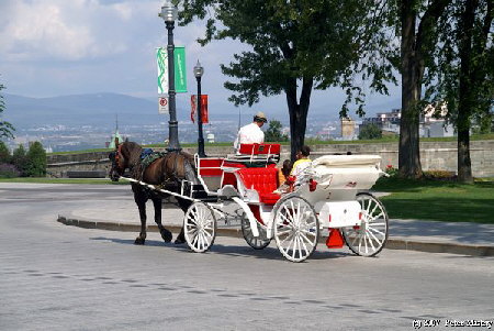 Ausflugskutsche in Quebec City Ausflugskutsche in Quebec City