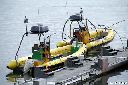 Whale Watching Boote