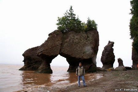 Flower Pot Rocks - Peter Flower Pot Rocks - Peter