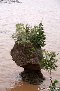 Hopwell Rock Hopwell Rock