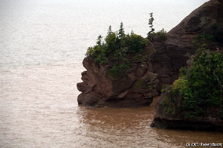 Bay of Fundy Bay of Fundy