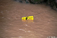 unter Wasser - Bay of Fundy