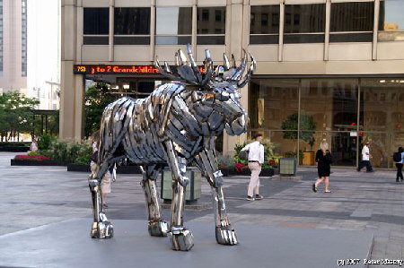 Iron Moose Chicago