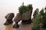 Hopewell Rocks