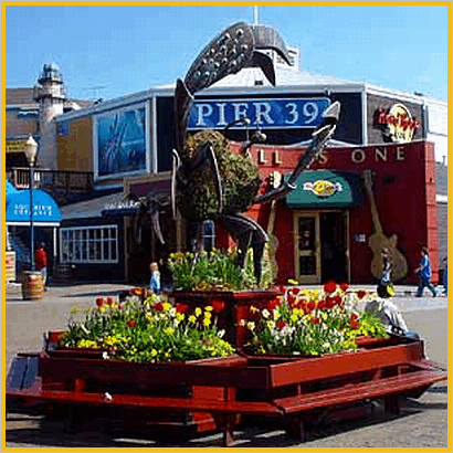 Pier 39 San Francisco