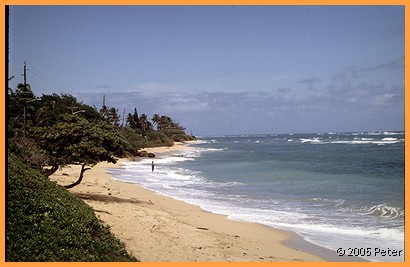 Oahu East Coast Beach