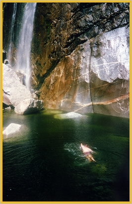 Robert die Robbe - brrrrrrr