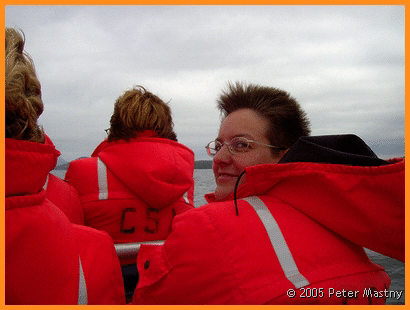 Was kuckst Du? (Whale watching Tofino)
